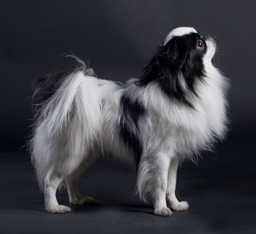 Question of the Week